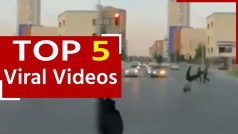 Viral Video: बीच सड़क पर युवक कर रहा था स्टंटबाजी, वीडियो में देखें नतीजा क्या हुआ?