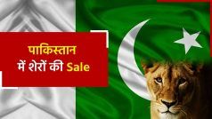 पाकिस्तान नहीं उठा पा रहा जंगल के राजा का खर्च, भैंस से भी कम कीमत पर शेरों को कल करेगा सेल | Watch Video