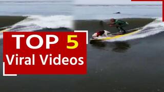 Viral Video: समु्द्री लहरों के बीच डॉगी ने किया सर्फिंग, वीडियो देख होश उड़ जाएंगे