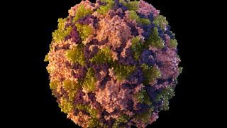 US: Polio Detected In New York City's Sewage, Suggesting Virus Circulation