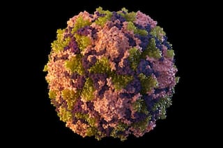 US: Polio Detected In New York City's Sewage, Suggesting Virus Circulation