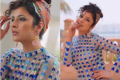 Shehnaaz is a 'Pretty Baby' in Her Latest Video, Fans Say 'Thank You For Making Our Day' - WATCH