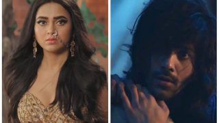 Naagin 6, August 27, Written Episode: Sheshnaagin Searches For Her Daughter, Shakti Gujral is Back!