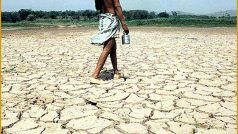 Drought Alert: झारखंड में सूख गईं अच्छी फसल की उम्मीदें, 264 में से 180 प्रखंड सुखे की चपेट में