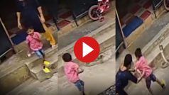 Cobra Ka Video: बच्चे को डसने ही वाला था किंग कोबरा, मगर पास खड़ी मां ने जो किया सांप भी भाग खड़ा हुआ | देखिए