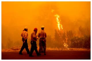 2 Bodies Found In Burned Vehicle In California Wildfire Zone