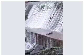 Rajasthan: Monsoon Again Active In State, Mount Abu Receives 5 Inches Of Rain, Forecast Of More Showers