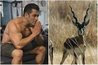 Rajasthan   s Bishnoi Community To Build Memorial Honouring Blackbuck Killed By Salman Khan 24 Years Ago