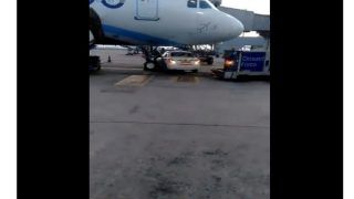 Video Shows Go First Car Under IndiGo Plane At Delhi Airport; Collision Narrowly Averted | WATCH