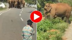 Hathi Ka Video: हाथियों के झुंड के पास सेल्फी लेने पहुंच गया लड़का, मगर गजराज ने अच्छे से सबक सिखा दिया- देखें वीडियो
