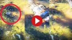 Azgar Aur Magarmach Ka Video: पानी में घुसा अजगर और कर दी मगरमच्छ की हालत खराब, संभलने तक ना दिया- देखें वीडियो