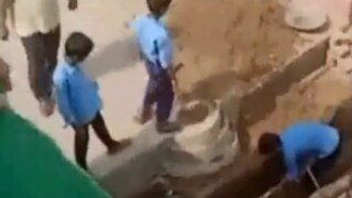 Viral Video: Bihar Govt School Students Seen Chopping Wood & Cutting Stones, Disciplinary Action Ordered | Watch