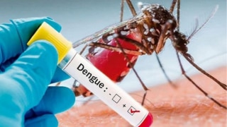 Dengue Alert in India: Delhi Reports Over 100 Cases Today, Uttarakhand Crosses 500-Mark