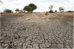 India Heading Towards Groundwater Depletion Tipping Point by 2025, Warns UN