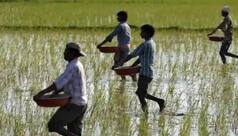 In A First, Jharkhand To Distribute Seeds To Farmers Via Blockchain Tech