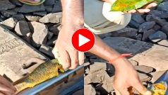 Viral Video: कुछ नहीं मिला तो ट्रेन की पटरी पर सेंकने लगा मछली, तरकीब देख लोग भी हिल गए- देखें वीडियो