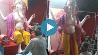 This Unique Ganesh Idol Stands Up & Gives Blessings When Someone Touches His Feet | Watch