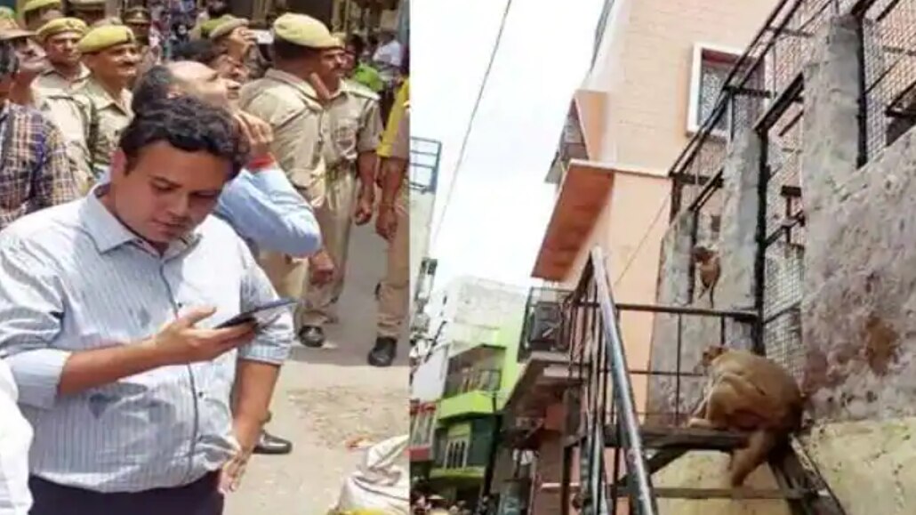 Monkey Runs Away With Mathura DM Navneet Chahal   s Sunglasses, Watch What Happened Next...