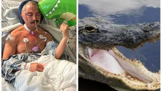 Viral Video: Man Miraculously Survives After 12-Feet Alligator Bites His Head, Drone Captures Terrifying Footage | Watch
