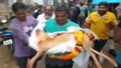 Viral: हिंदू रीति-रिवाजों के साथ पालतू कुत्ते का किया अंतिम संस्कार, ढोल बजाकर दी गई विदाई