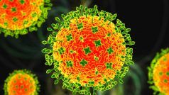 Langya virus: कोरोना के बाद चीन में जानवरों से इंसानों में आया एक और वायरस, जानिए लांग्या वायरस के लक्षण