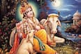 Krishna Janmashtami 2022: भगवान कृष्ण से संबंधित इन 10 प्रश्नों के आपको पता हैं जवाब? टेस्ट कीजिए अपना आईक्यू