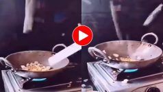 Viral Video: शादी के बाद पहली बार खाना बनाने किचन गई दुल्हन, पर जो हो गया सास छोड़ेगी नहीं- देखें वीडियो
