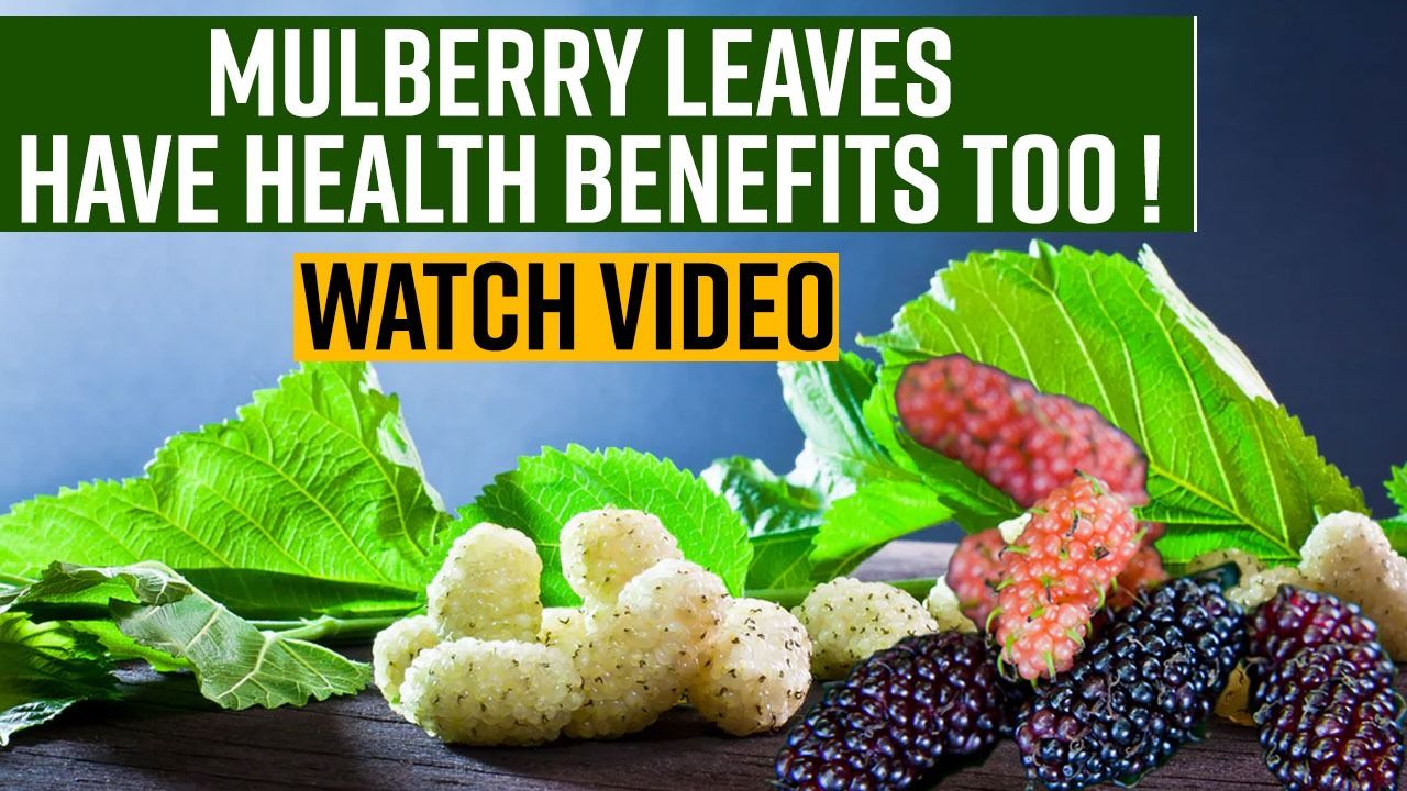 Mulberry leaf discount benefits for skin