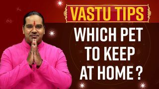 Astro Tips: Which Pet Should be Fostered at Home? Astrologer Shiromani Sachin Explains - Watch Video