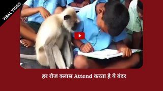 Viral Video: बंदर को पढ़ाई करने का चढ़ा शौक, हर रोज ठीक 9 बजे क्लास में लगाता है Attendance | देखें वीडियो