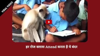 Viral Video: बंदर को पढ़ाई करने का चढ़ा शौक, हर रोज ठीक 9 बजे क्लास में लगाता है Attendance | देखें वीडियो