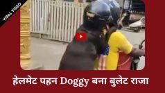 Viral Video: साउथ इंडिया में Doggy ने उठाया बाइक राइड का लुत्फ़, बाइक चालक के कंधों को पकड़ बनाया बैलन्स | Watch Video