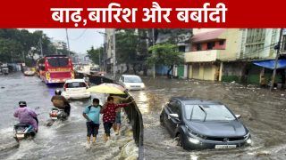 बिहार के लखीसराय में भारी बारिश के कारण गंगा नदी का जलस्तर बढ़ा, कई गांव प्रभावित, मवेशियों के लिए हुआ चारे का संकट | Watch Video