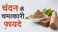 Health Tips: सुंदरता ही नहीं चंदन से आप पा सकते हैं कई बीमारियों से निजात, इन फ़ायदों के बारे में जानकार चौंक जाएंगे आप| Watch Video