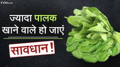 Health Tips: ज़्यादा पालक खानें वाले हो जाएं सावधान, पालक खानें से बढ़ सकती है पेट में सूजन| Watch Video