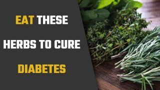 Diabetes Cure: These Herbs Have Some Amazing Properties To Treat Diabetes Completely| Watch Video