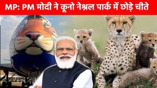 PM Modi In Kuno Live: पीएम मोदी ने नामीबिया से आए चीतों को बाड़े में छोड़ा, फिर ली उनकी तस्वीर | Watch Video