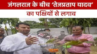 बिहार में एक तरफ बढ़ रहा है ‘जंगलराज’, तो वहीं पर्यावरण मंत्री कर रहे हैं पक्षियों को आजाद | Watch Video