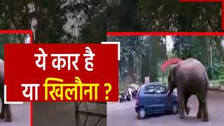 Viral Video: कार के साथ खूब खेला हाथी, खिलौना समझकर गोल-गोल घुमाया, मन भर गया तो वापस चला गया जंगल | देखें मज़ेदार वीडियो