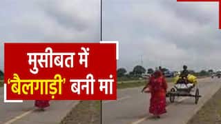 Rajgarh: परिवार का पेट पालने के लिए विधवा मां खुद बनी बैल, बच्चे को बैलगाड़ी में बिठाकर पैदल तय किया सफर | Watch Video