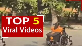 Viral Video: व्हीलचेयर पर बैठकर घर-घर फूड डिलीवरी करती है यह दिव्यांग महिला, वीडियो देख उड़ जाएंगे आपके होश  | Watch Video