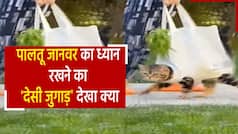 Viral Video: शॉपिंग के समय पालतू जानवर का ध्यान रखने के लिए महिला ने लगाया जुगाड़,  वीडियो देखने के बाद हर किसी को पसंद आया ये Idea