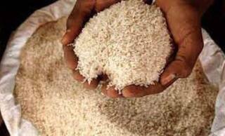 India Stands Tough At WTO Defending Its Move To Ban Wheat, Rice Exports