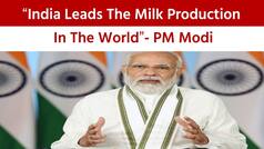 World Dairy Summit 2022: India Leads The Milk Production In The World, PM Modi Inaugurates World Milk Summit | Watch Video