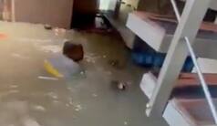 Man Seen Swimming In His Living Room Amid Bengaluru Floods, Video Goes Viral