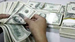 India's Forex Reserves On An Alarming Low, Hit Lowest Level In 23 Months