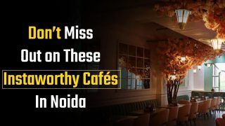 Want To Hang Out? Checkout These Five Instaworthy Cafes In Noida - Watch Video