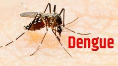 डेंगू (Dengue) के लक्षण, कारण और इलाज के साथ ही जानिए बचाव के उपाय भी