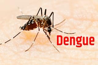 Dengue Upsurge: UP, Punjab, Bengal Severely Affected, Experts Warn Cases Might Rise in November