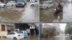 पंजाब और हरियाणा के कई इलाकों में 24 घंटे में हुई भारी बारिश, सड़कों पर दिखे ऐसे नजारे